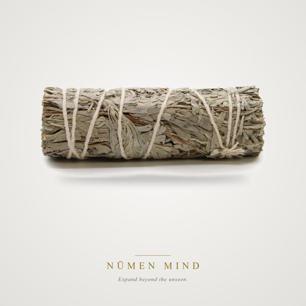 Atado de Salvia Azul · 10 cm – NŪMEN MIND