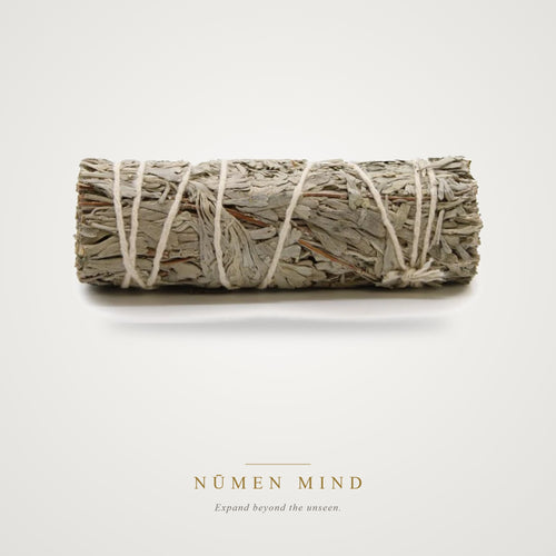 Atado de Salvia Azul · 10 cm – NŪMEN MIND