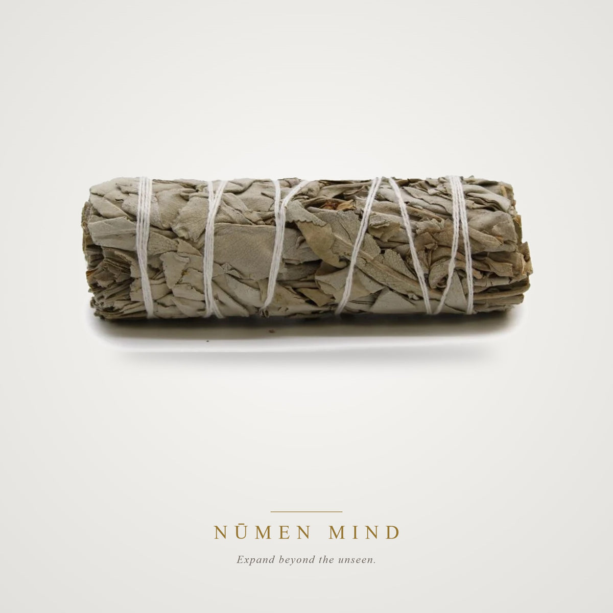 Atado de Salvia Blanca · 10 cm – NŪMEN MIND