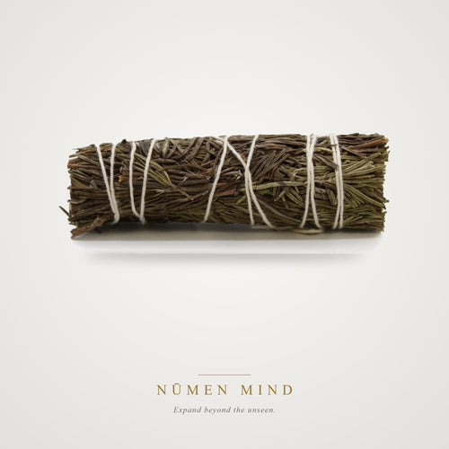 Atado de Salvia y Romero · 10 cm – NŪMEN MIND