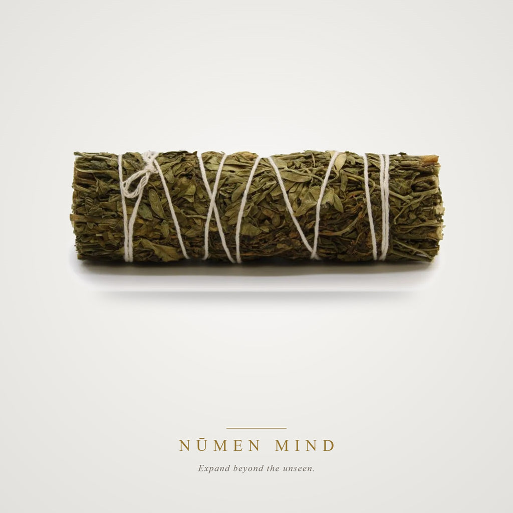 Atado de Salvia y Ruda · 10 cm – NŪMEN MIND