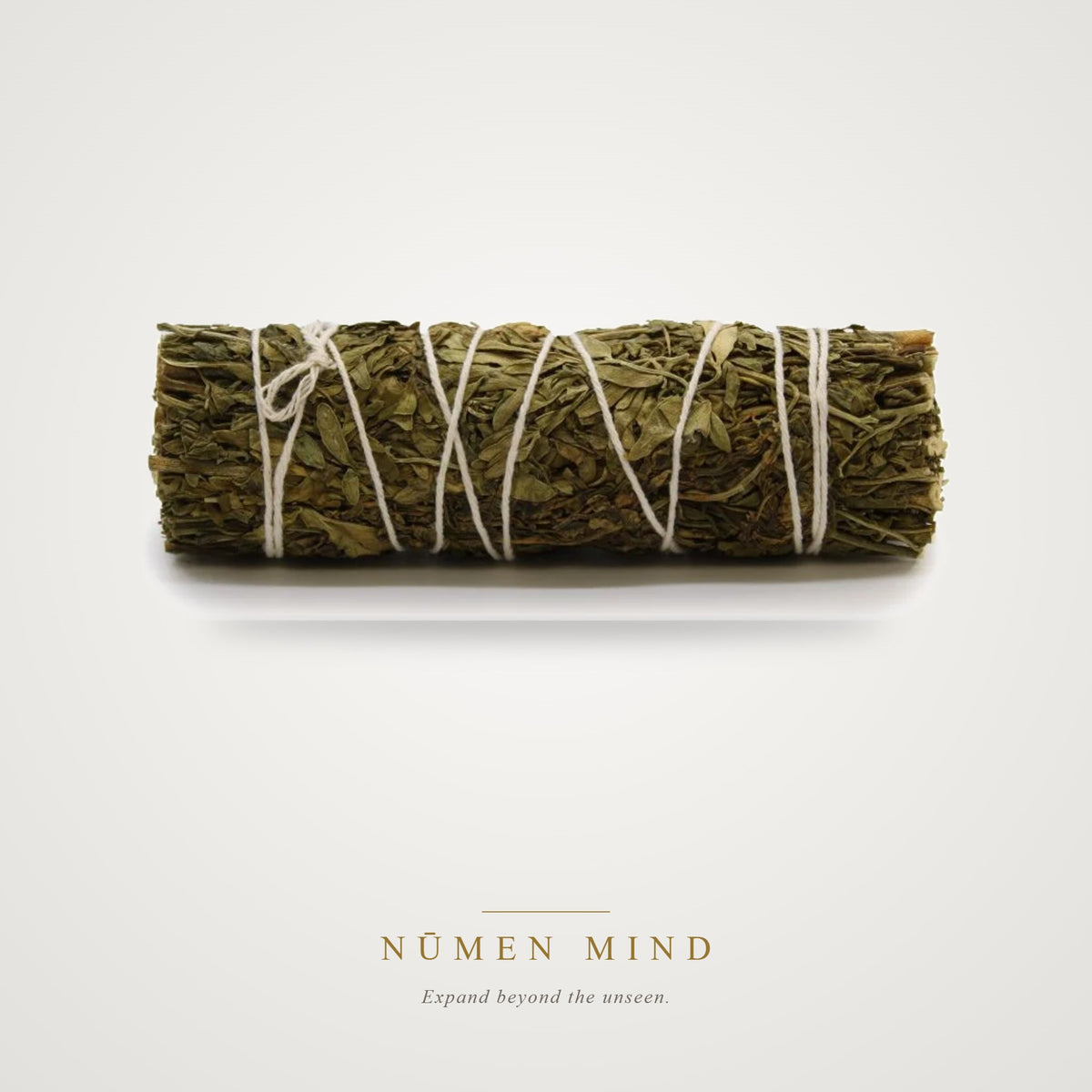 Atado de Salvia y Ruda · 10 cm – NŪMEN MIND
