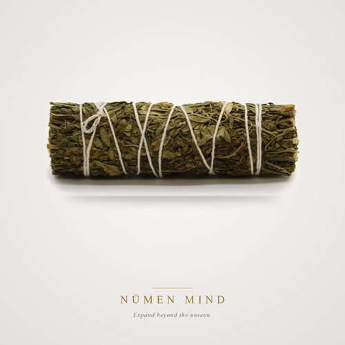 Atado de Salvia y Ruda · 10 cm – NŪMEN MIND