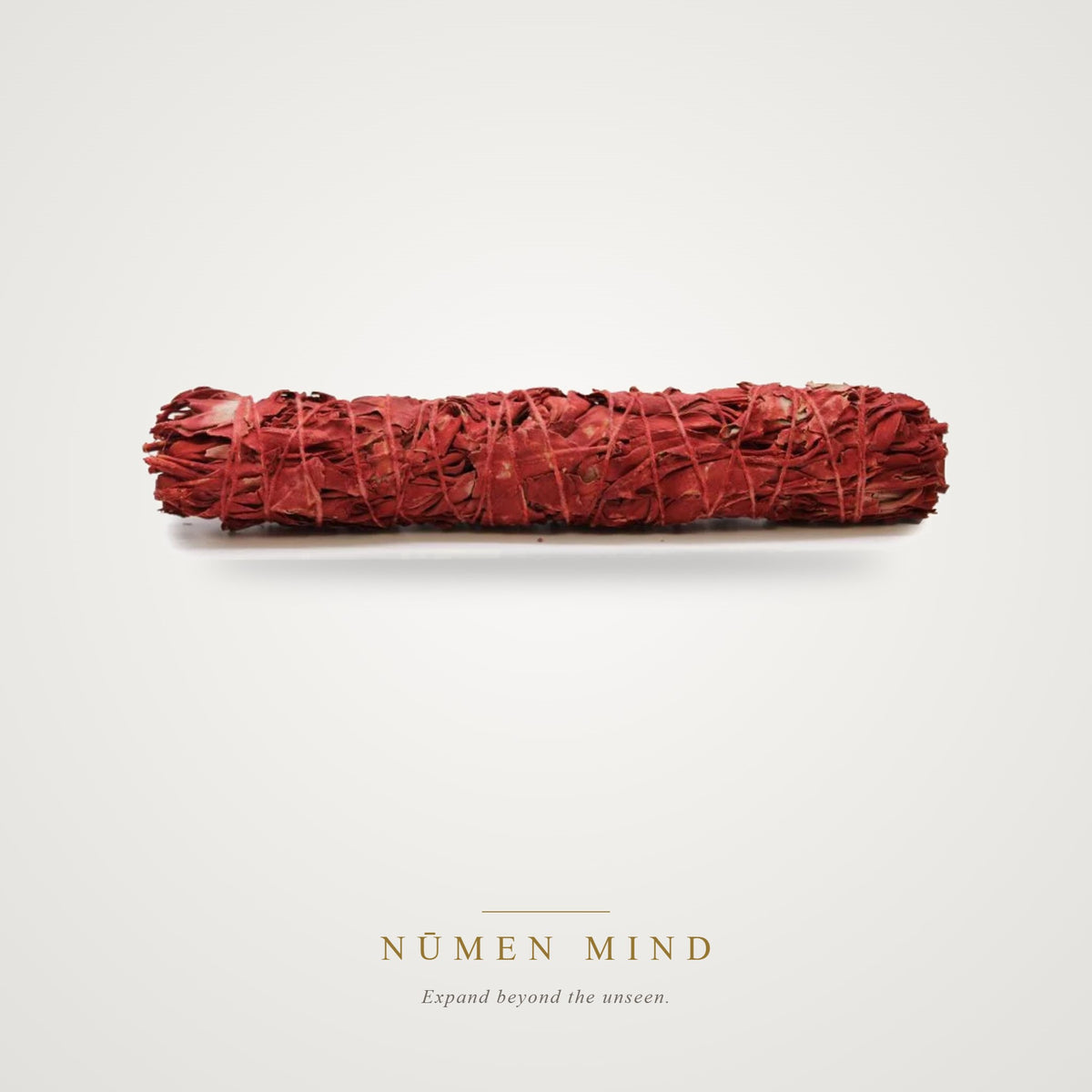 Atado de Salvia Sangre de Dragón · 22,5 cm – NŪMEN MIND