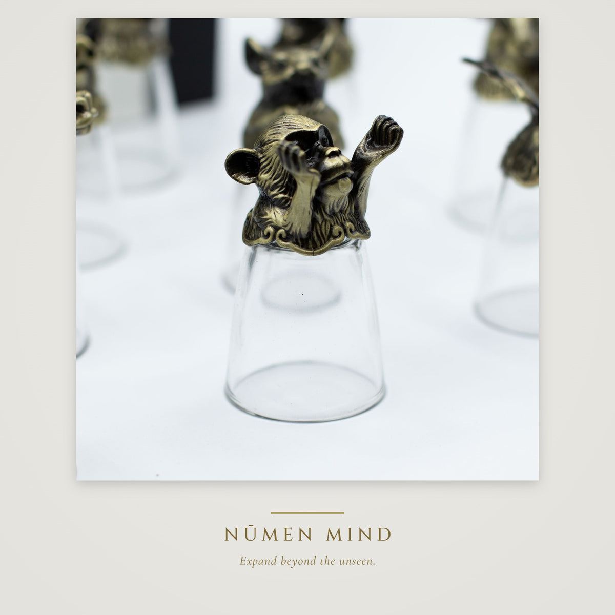 Vasos de chupito con los animales del zodiaco chino · NŪMEN MIND