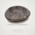 Soporte de Madera Petrificada · Incienso y Salvia – NŪMEN MIND
