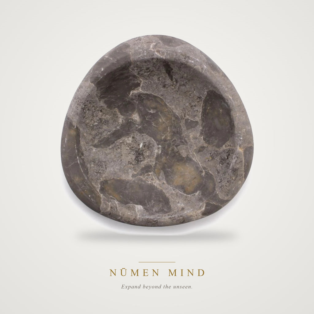 Soporte de Madera Petrificada · Incienso y Salvia – NŪMEN MIND