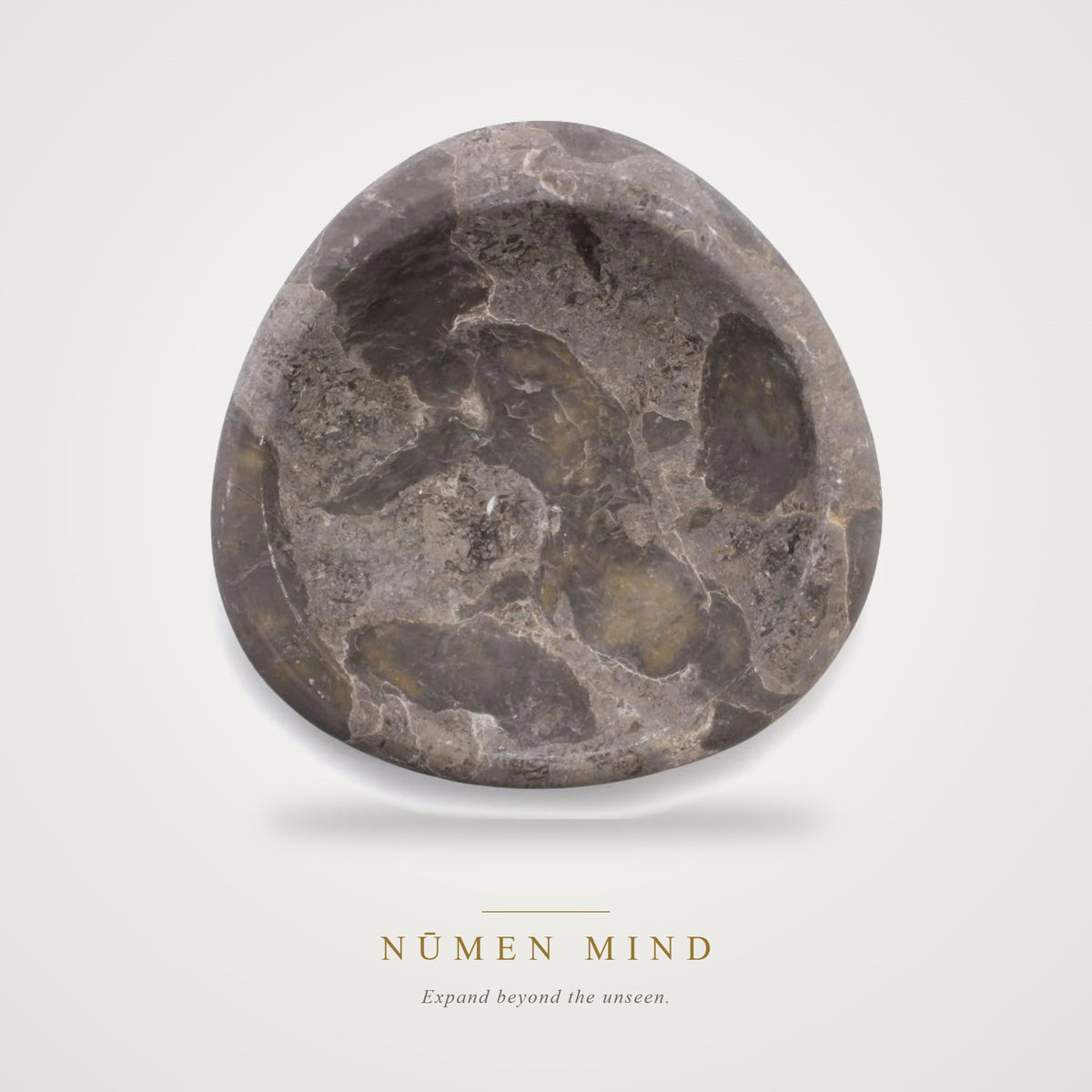 Soporte de Madera Petrificada · Incienso y Salvia – NŪMEN MIND
